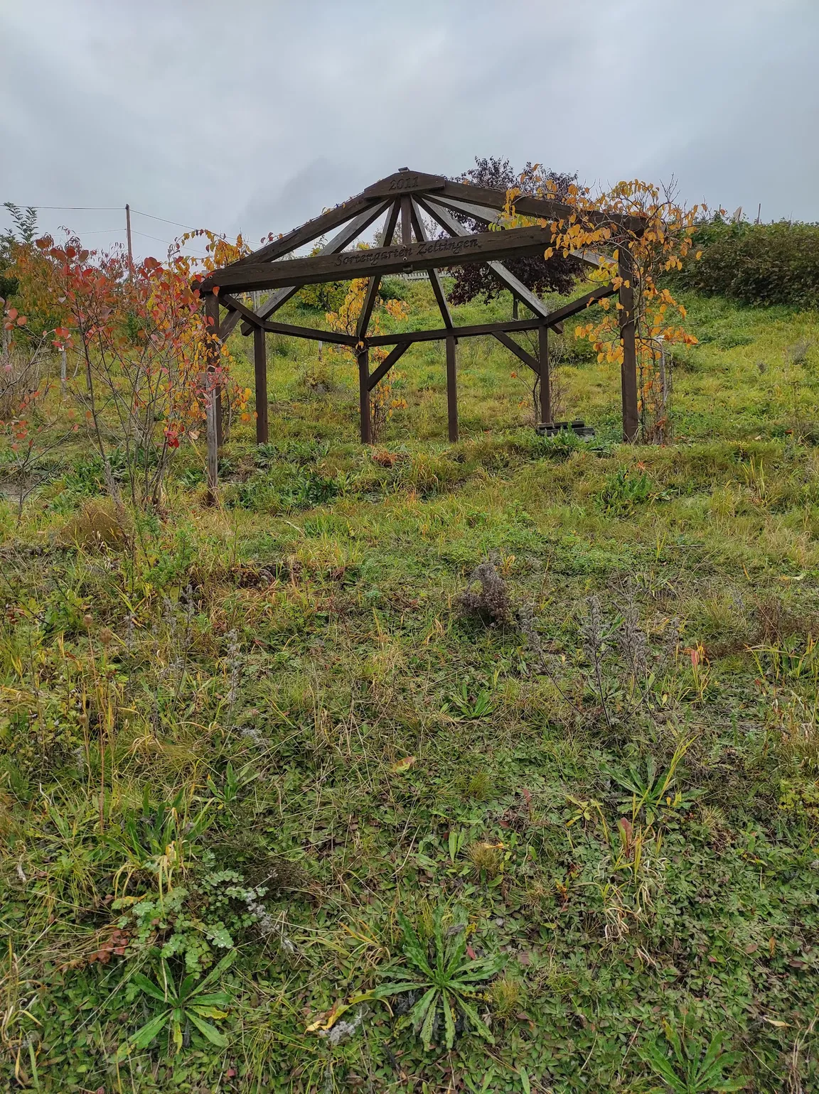 Sortengarten Zeltingen