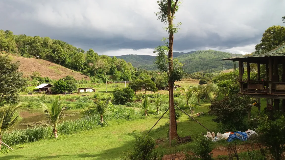 Elephant Jungle Sanctury