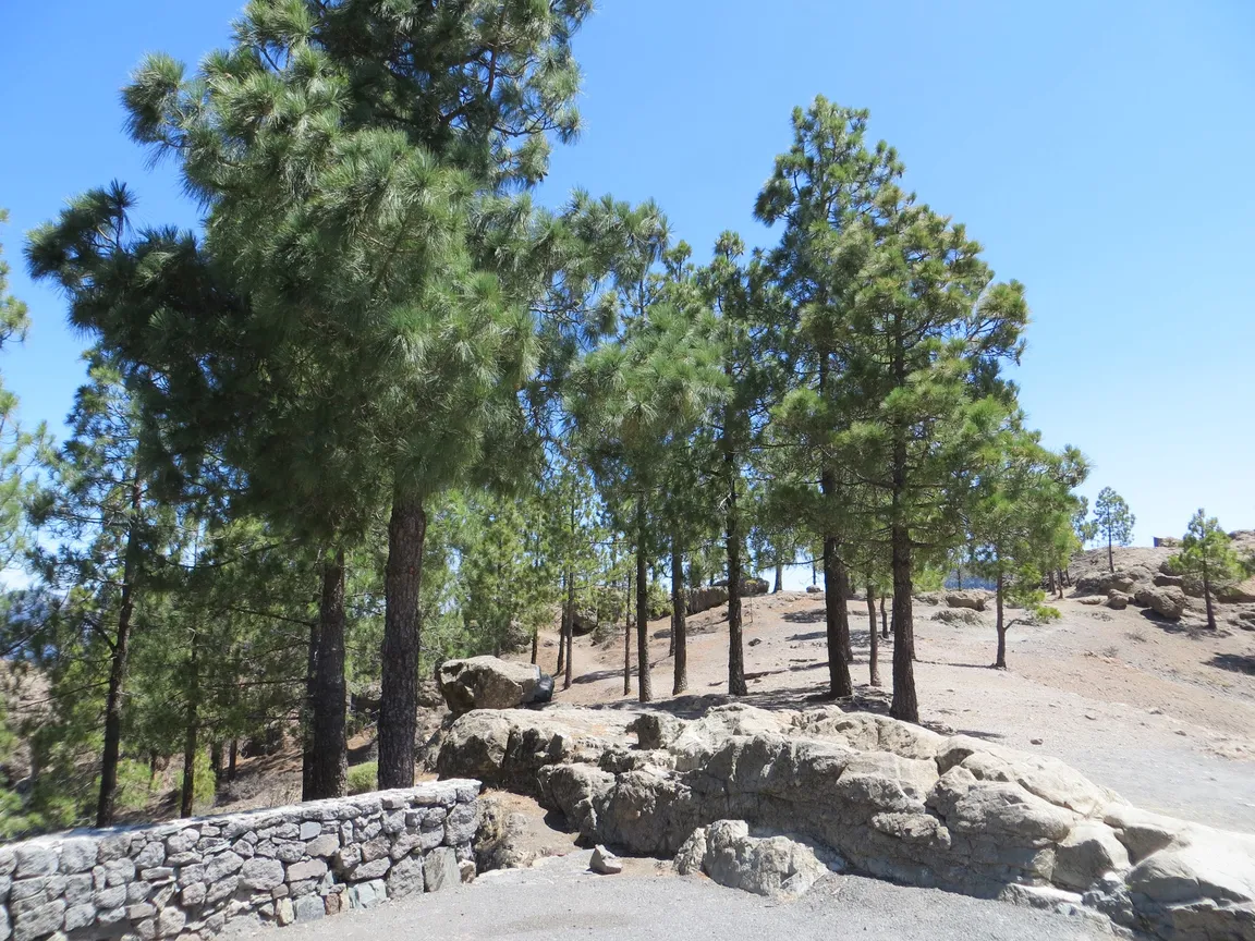 Mirador Degollada de Becerra
