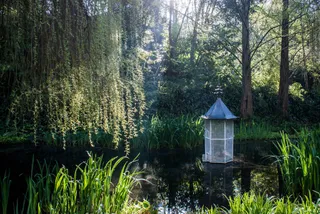 The Lyde Gardens