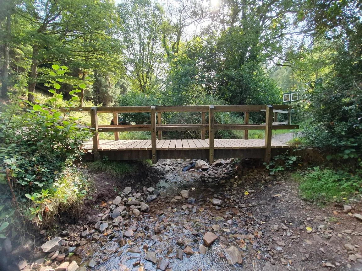 Ramscombe Great Wood