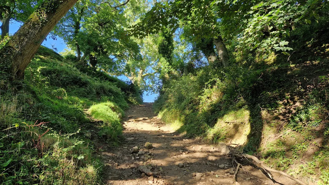 Cadbury Hillfort