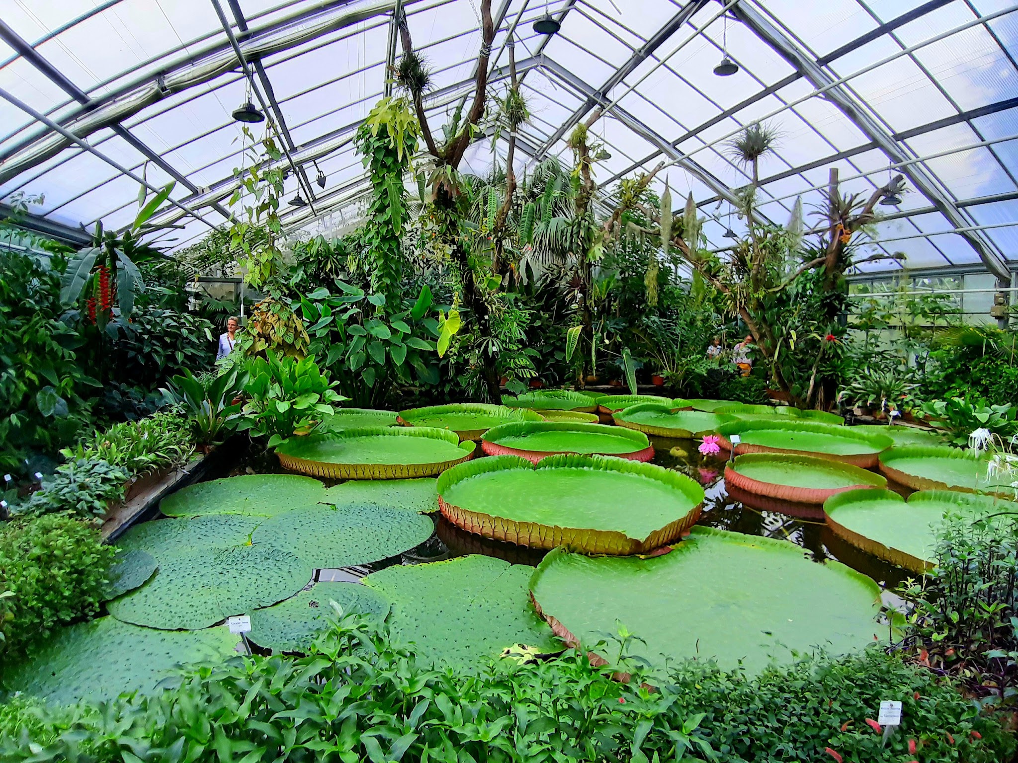 BOT Botanical Garden | Hopsa