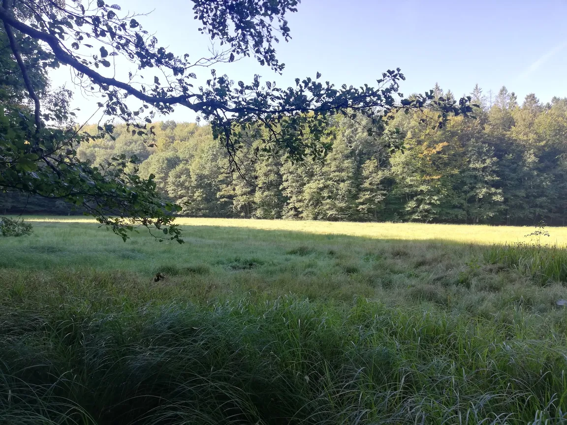 Kaszubski Park Krajobrazowy