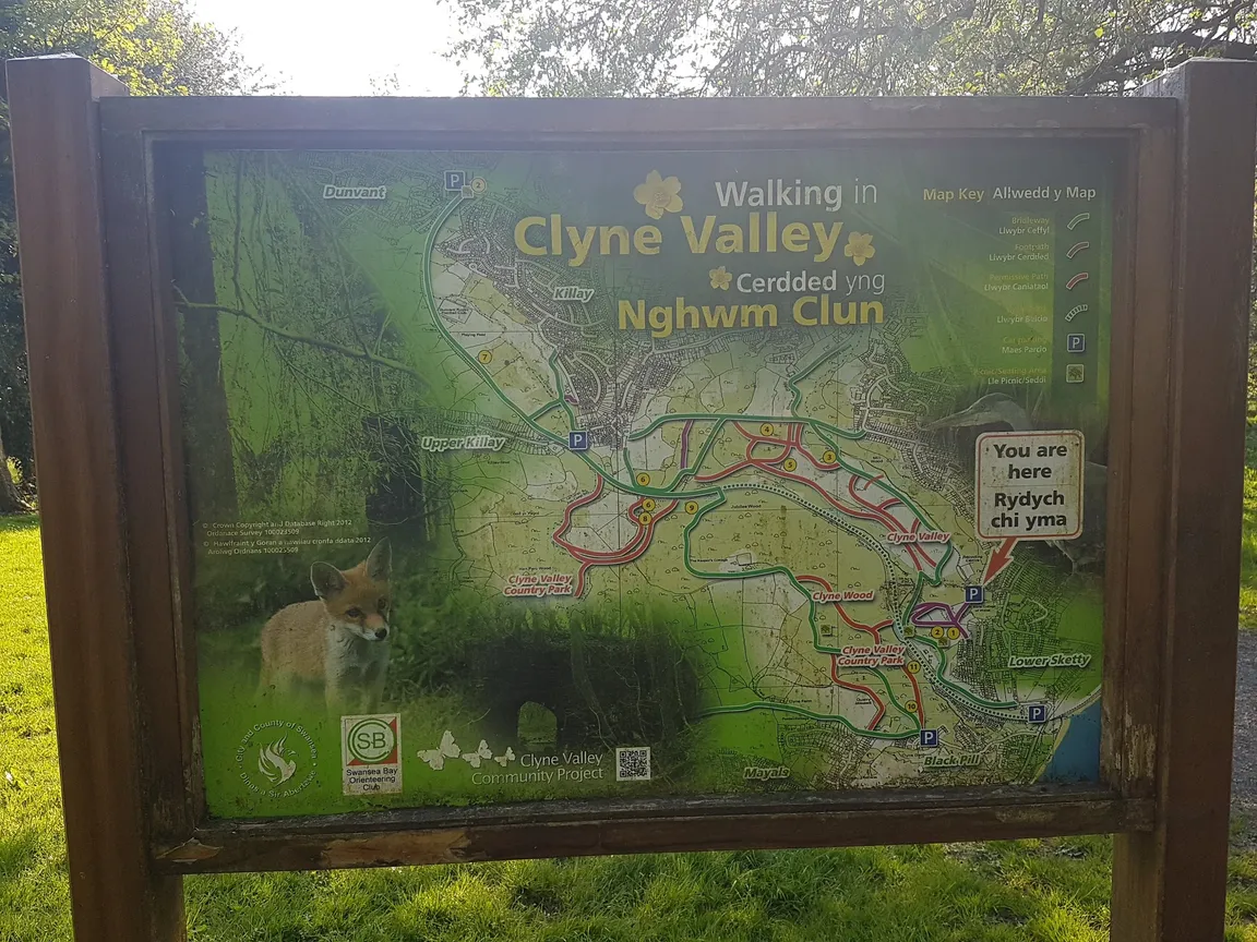 Clyne Valley Country Park