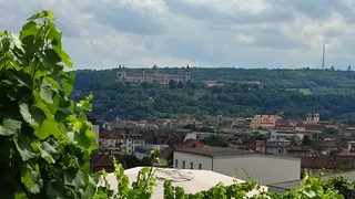 Wein am Stein