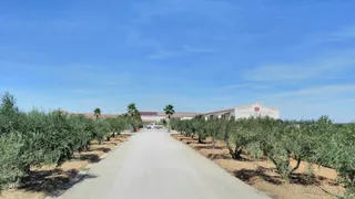 Domaine Pastouret Vin Biologique nouveau Domaine Belle d'Argence