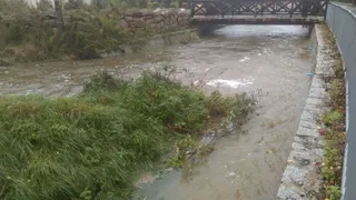 Radomierka
