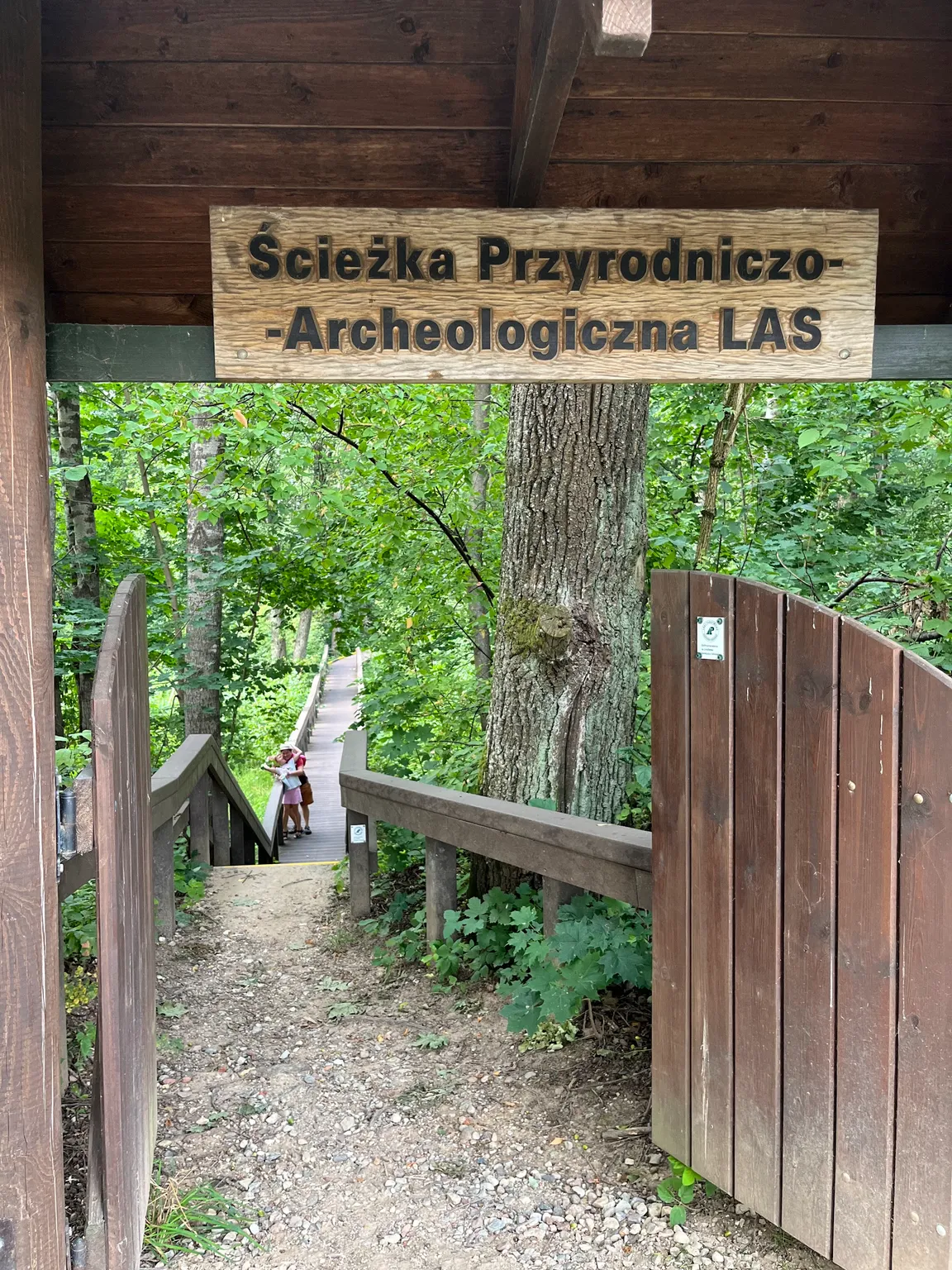 Ścieżka edukacyjna "Las"