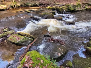 Clam River Reserve