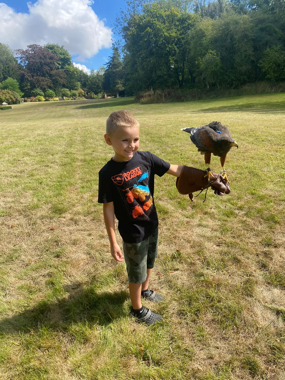 Hampshire Hawk Walks