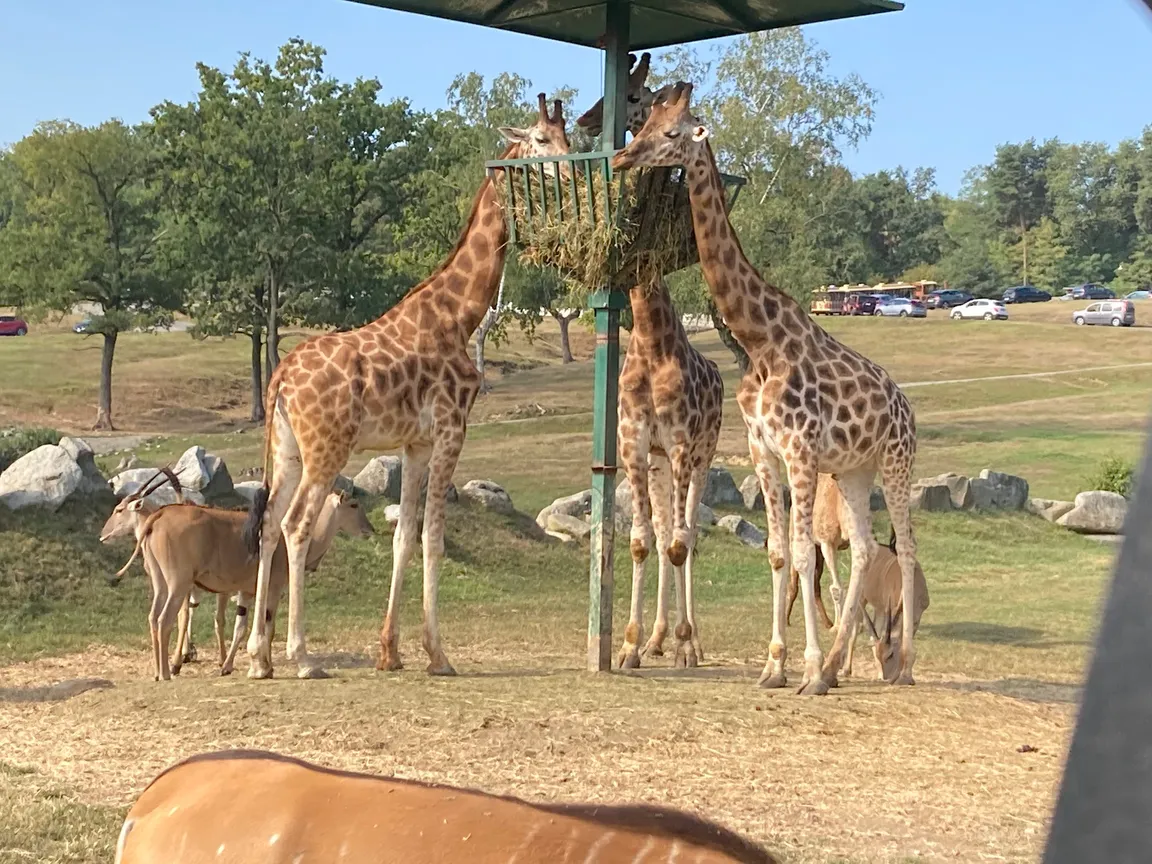 Pombia Safari Park