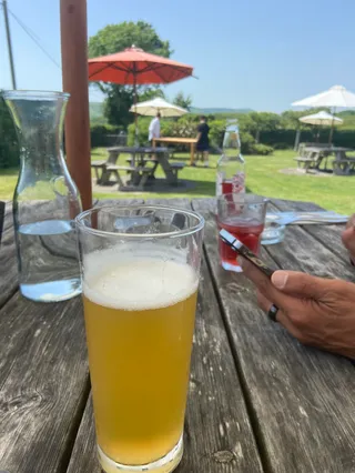Sussex Ox