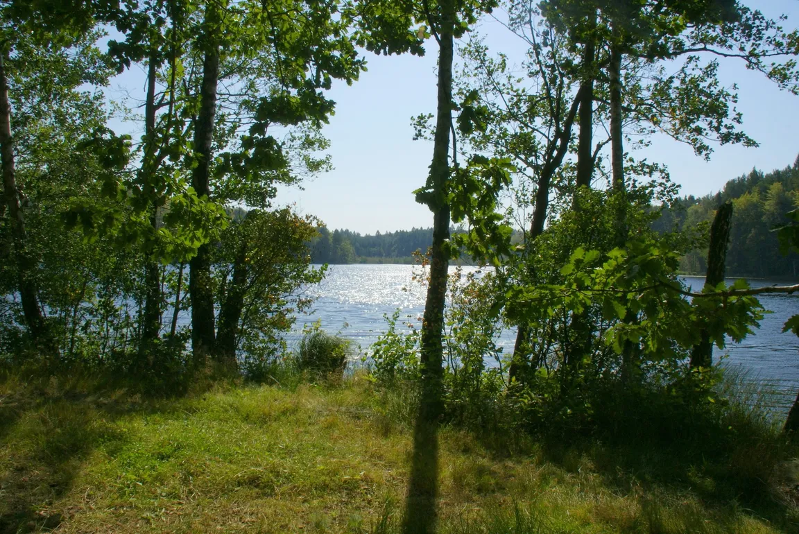 Rezerwat przyrody Pełcznica