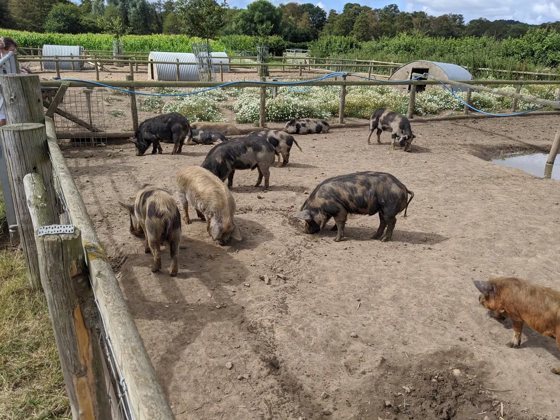 Farmer Palmer's Farm Park