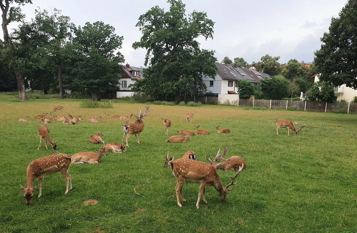 Hirschgarten