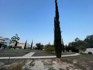Park with playground