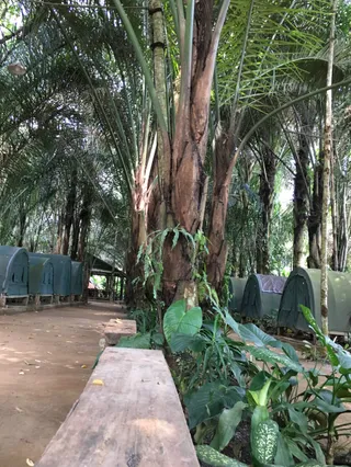 Rumah Konservasi Kunang-Kunang At Tegal Dukuh Camp.