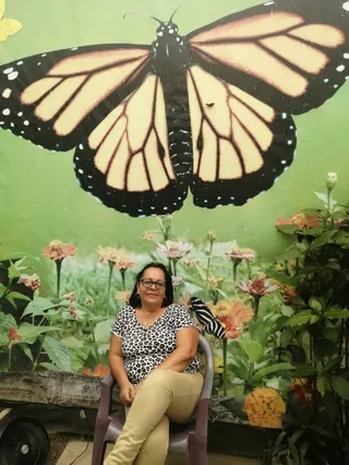 Mariposario Butterfly Kingdom Costa Rica