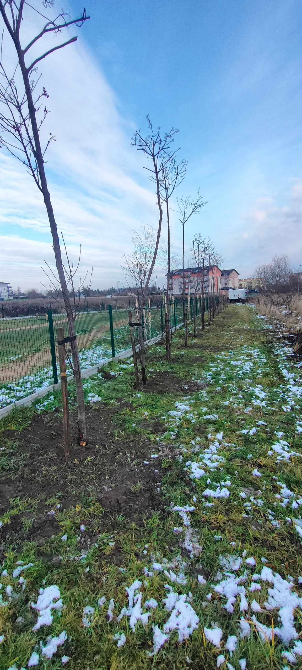Wybieg dla psów