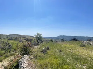 Pachna fields view point