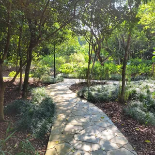 Healing Garden
