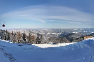 Jaworzyna Krynicka 1114 m n.p.m.