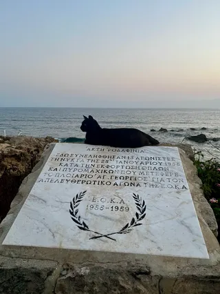 Rodafinia coast view point