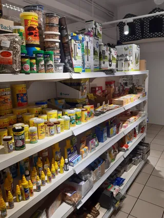 Salon pielęgnacji psów i kotów Karusek | Groomer