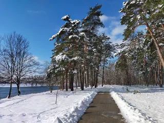 Ścieżka spacerowa