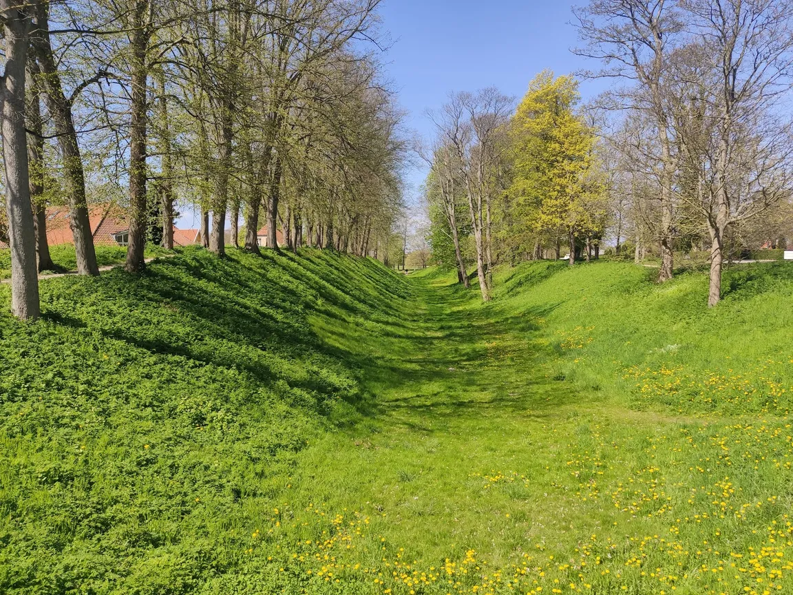 Camønoen