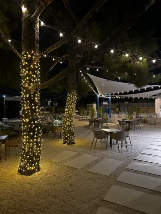 Monty's Dog Beach & Bar Portorož