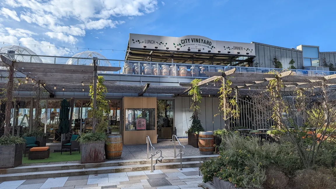 City Vineyard