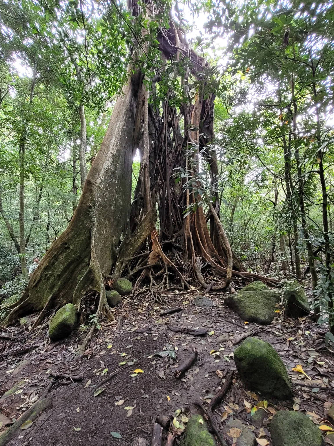 Parque Nacional Rincón de la Vieja