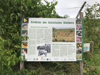 Historischer Weinberg