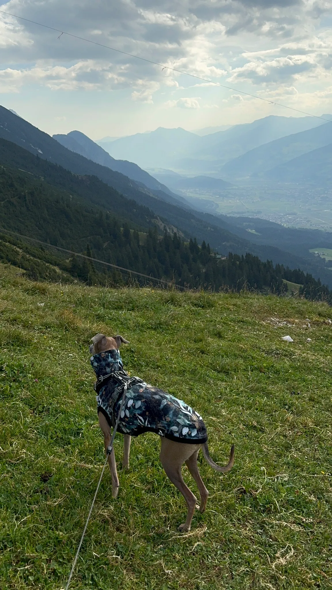 Perspektivenweg