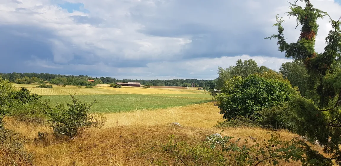 Björkö-Birka (Island in Lake Mälaren with remnants of the former trading town Birka)