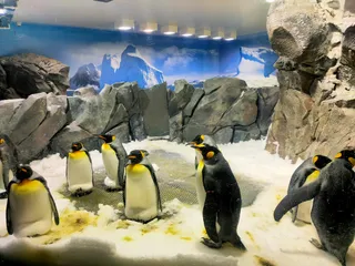 Sea World