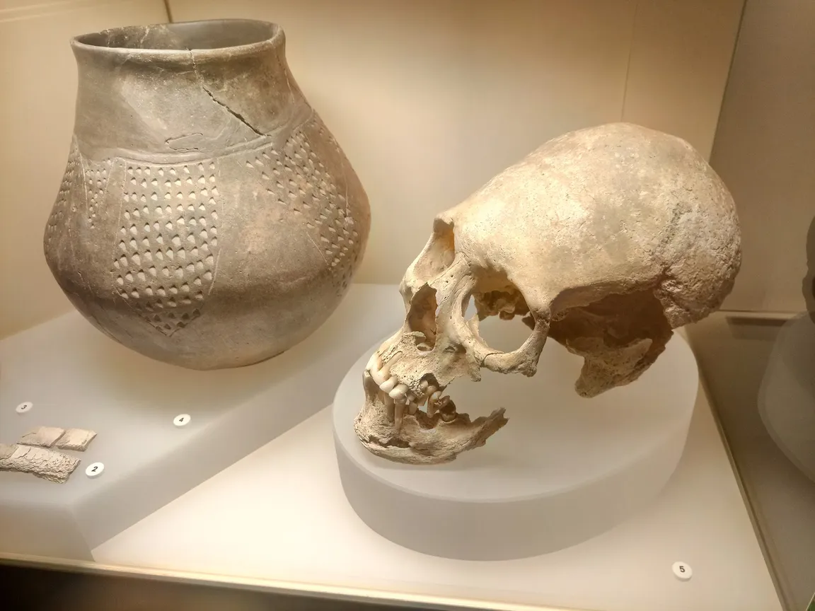 Brandenburg State Archaeology Museum