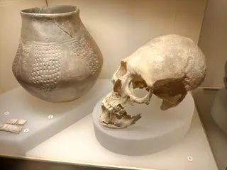 Brandenburg State Archaeology Museum
