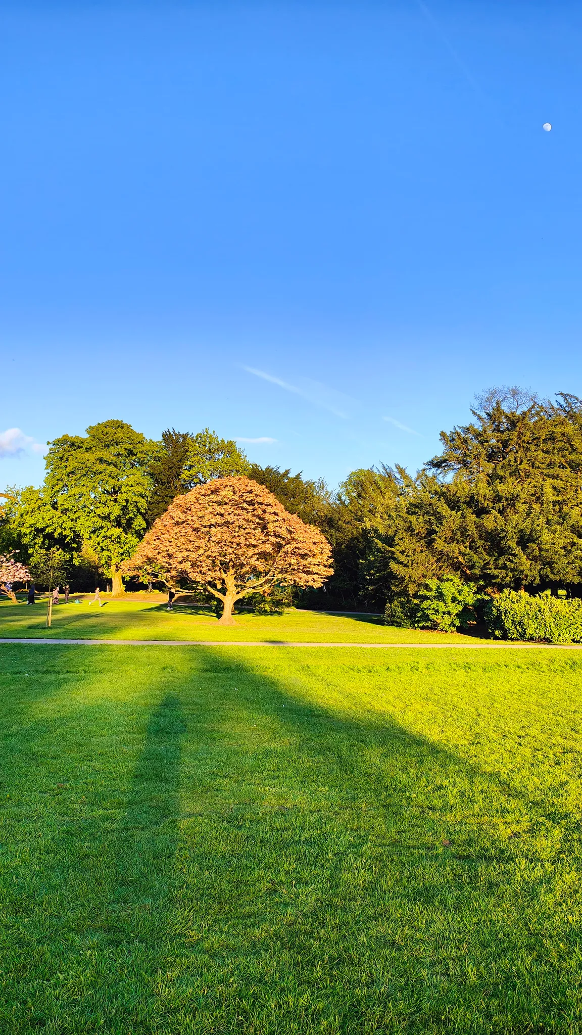 Cannon Hill Park