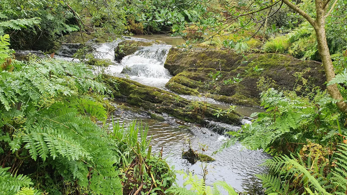 Waterfall Alpaca Farm (by appointment only)