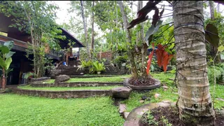 Starland Penyalin