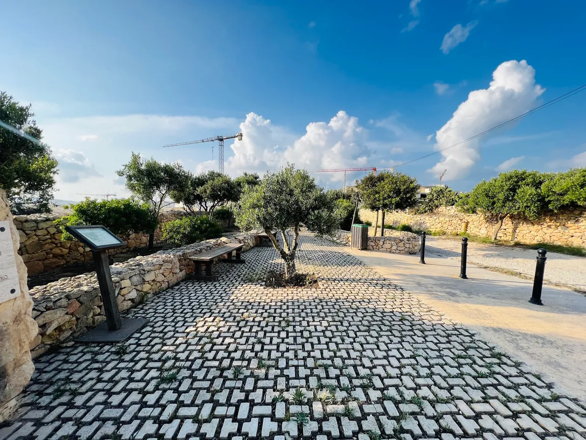 Picnic Area