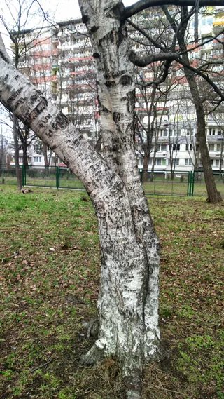 Filia nr 10 - Miejska Biblioteka Publiczna we Wrocławiu