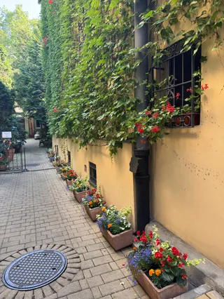 Meho Cafe - Bar & Garden