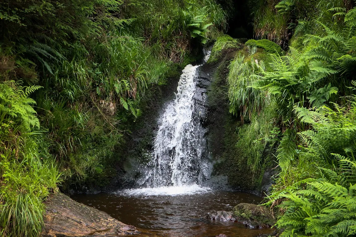 Gortin Glen Forest Park