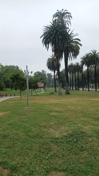 Playground near Elysian Park Picnic Site #4