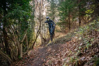Cilenca Trails