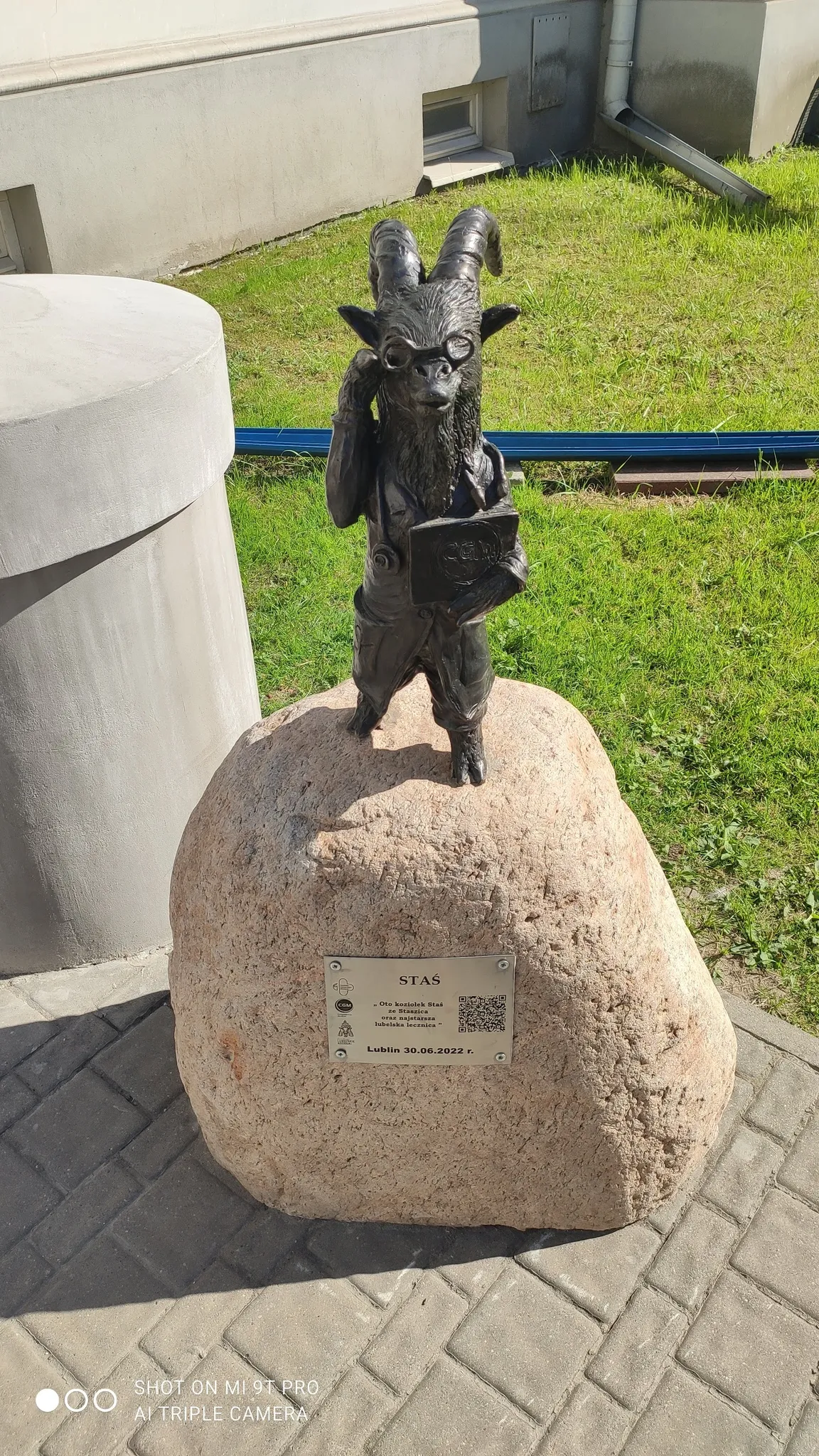 Koziołek Staś